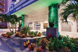 大洋城大洋城假日酒店的棕榈树和植物的酒店大堂