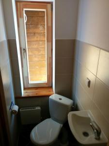 利加特内Viesu Nams Vilhelmīne的一间带卫生间、水槽和窗户的浴室