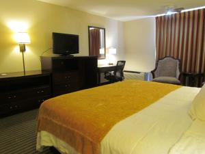 休斯顿西南罗马纳酒店客房内的一张或多张床位