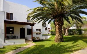 基拉奇尼特里考夫海滩酒店的房子旁的院子中的棕榈树