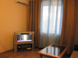 沃罗涅什Apartment Kropotkina 11a的一间带电视和窗户的客厅