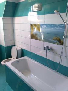 Morska Zvezda Guest House的一间浴室