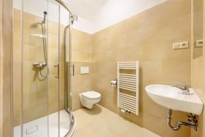 捷克克鲁姆洛夫坢休恩泰迪酒店的浴室配有卫生间、盥洗盆和淋浴。