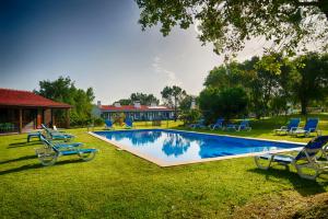 赞布热拉-杜马尔蒙大格夏酒店的一个带蓝色椅子的大型游泳池