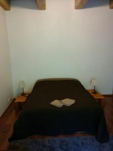 利加特内Viesu Nams Vilhelmīne的一间卧室配有一张床和两张带台灯的桌子。