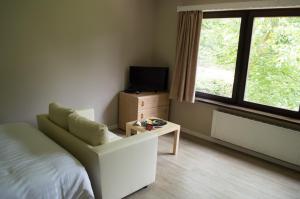 布鲁塞尔布鲁塞尔巴吉公寓酒店 的一间卧室配有一张床、一台电视和一把椅子