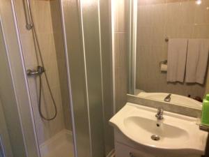 布鲁塞尔布鲁塞尔公寓花园酒店 的带淋浴和盥洗盆的浴室