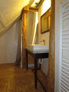 罗格坡曼戈唐乔的地盘旅馆的一间带水槽和镜子的浴室
