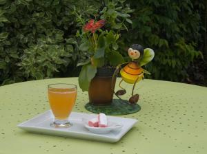 Nuisement-sur-CooleLes Rendzines的桌上的一杯橙汁和一盘水果