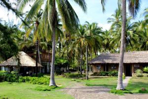 El Zapote卡普里科海滨别墅酒店的海滩上的棕榈树和房屋