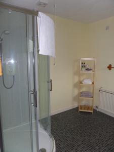 多诺赫Amalfi Bed and Breakfast的带淋浴的浴室和玻璃淋浴间