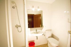 菲格拉斯菲格雷斯公寓的一间带卫生间、水槽和镜子的浴室