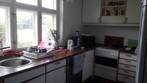 哥本哈根床和淋浴住宿加早餐旅馆的厨房配有带水槽和炉灶的台面