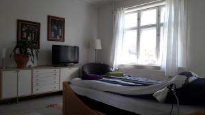 哥本哈根床和淋浴住宿加早餐旅馆的一间卧室设有一张床、一台电视和一个窗口。