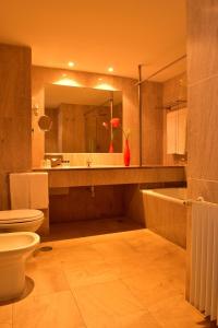 萨尔堡卡斯特洛阿尔卡塞尔多萨尔酒店的一间带水槽、卫生间和镜子的浴室