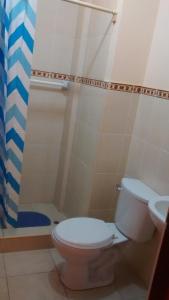 万卡约Hostal Los Pinos的一间带卫生间和淋浴的浴室
