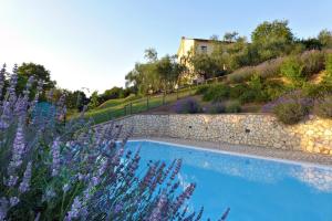 Castiglione in TeverinaIl Poggio Dell'Artilla的一座带石墙和紫色花卉的游泳池