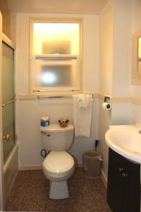 伯克利纳什酒店的一间带卫生间、水槽和窗户的浴室