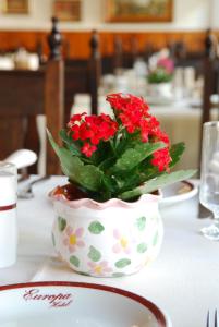 坎波斯杜若尔当Europa Hotel的桌子上放着红花的花盆