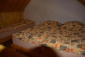 普拉哈季采查鲁帕安布拉山林小屋的一间卧室,配有两张床