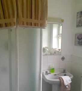 戈尔韦Tara Lodge Galway的一间带水槽和镜子的浴室