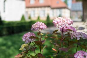 吕本瑙Schloss Beuchow的大楼前的一束粉红色的花