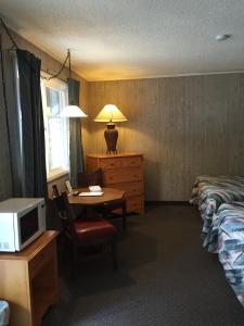 布法罗Z酒吧汽车旅馆的酒店客房配有一张床和一张带微波炉的书桌