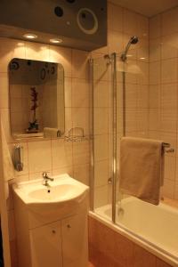 斯塔雷梅斯托Ubytování U Morisse的浴室配有盥洗盆、淋浴和盥洗盆。