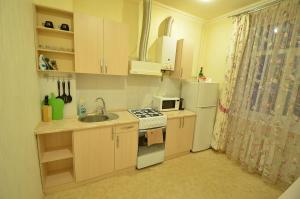 尼古拉耶夫Lux Apartment Sobornaya的一间带水槽和炉灶的小厨房