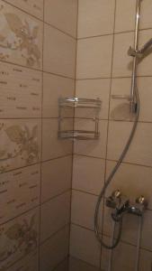 BabīteHoliday Home Medus的浴室内配有淋浴和头顶淋浴
