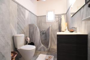 ArnadosTinos Sky View Villa的浴室配有卫生间、淋浴和盥洗盆。