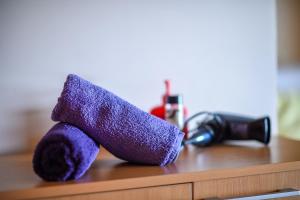 贝尔格莱德圣艺术漂浮公寓旅馆的坐在桌子上的一个紫色填充物动物