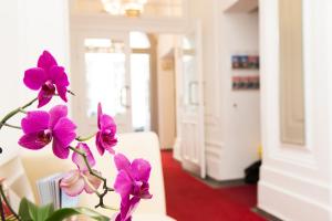 维也纳奧德翁酒店的房间里的一束紫色花在植物上