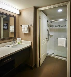汉密尔顿汉密尔顿连桥套房酒店 - 市区的一间带水槽和淋浴的浴室