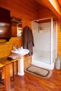 Condat-sur-Vienne小木屋住宿加早餐旅馆的小屋内的浴室设有水槽和淋浴