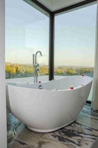 圣特奥托纽谜 - 自然与水酒店 的设有一个大窗口的白色浴缸