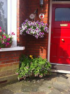 Harrow on the Hill38 Whitehall Road的一道红色的门,在房子前面有一堆鲜花