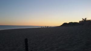托雷科里梅纳Stellasalentina的日落时分在海滩上一群人