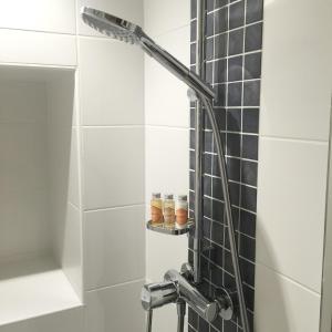 拉尔让蒂埃拉贝塞埃La Maison Abeil的浴室铺有黑白瓷砖,设有淋浴。