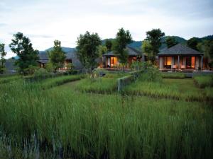 慕斯MUTHI MAYA Forest Pool Villa Resort - SHA Plus Certified的草丛中的房子