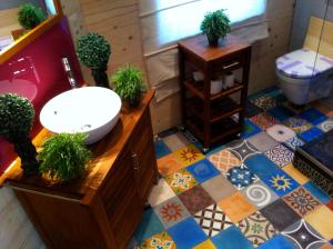 Silenrieux苏黎希尔度假屋的浴室设有水槽和盆栽植物