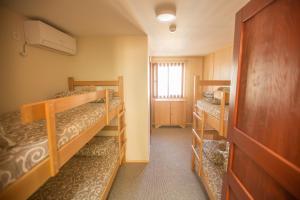 绿屋旅舍客房内的一张或多张双层床