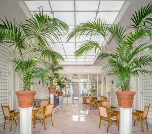 索伦托伊克斯西尔维多利亚大酒店的大堂设有棕榈树大壶