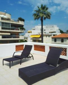 戛纳亚历山大三世酒店的屋顶上的两把椅子,后面有棕榈树
