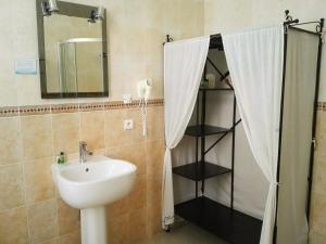 戛纳亚历山大三世酒店的浴室配有盥洗盆和带镜子的淋浴