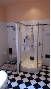 俄斯特拉发Apartment Belvedere的带淋浴、浴缸和卫生间的浴室