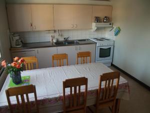 波尔沃Porvoo Hostel的厨房配有桌椅和水槽