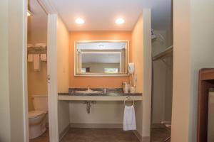 Lyndonville柱廊旅馆的一间带水槽、镜子和卫生间的浴室