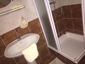 曼德雷Guesthouse Gligora的带淋浴、盥洗盆和淋浴的浴室