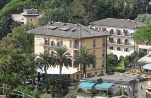 蒙特罗索阿尔马雷阿德利亚纳别墅酒店的棕榈树酒店空中景色